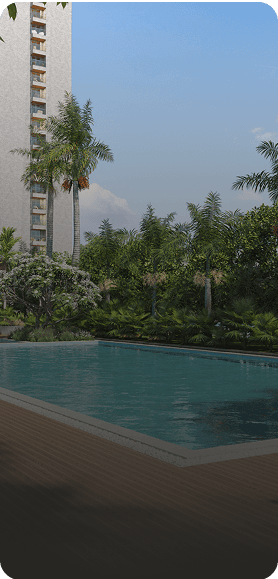 Leisure Amenities